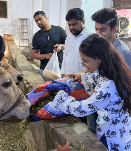 Medical treatment for rescued cows