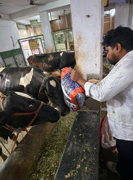 SevaRoots Foundation cow welfare movement