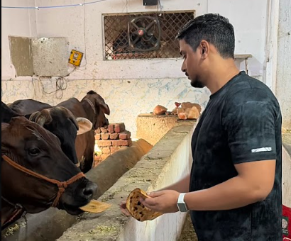 Donate for Gaushala